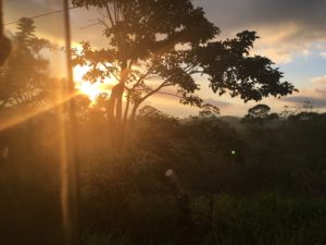 Volunteering Coffee Country, Costa Rica