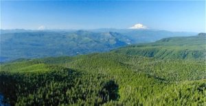 Great Hikes in the Columbia Gorge, Sherrard Point, Larch Mountain, Girl Who Travels the World