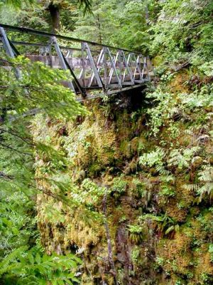 Eagle Creek to High Bridge Hike, Great Oregon Hikes