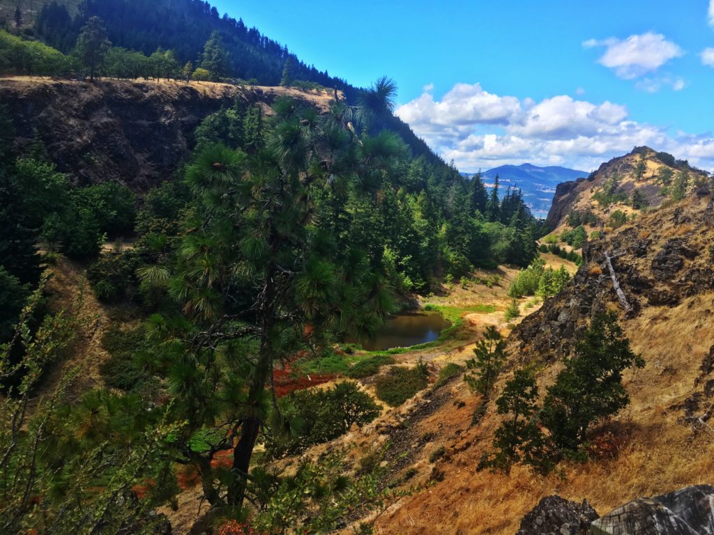 How to Get to Mosier Tunnels Trail, Great Hikes Oregon, Girl Who Travels the World