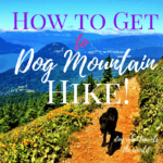 How to Get to Dog Mountain Hike, Girl Who Travels the World, Great Hikes in the Columbia Gorge