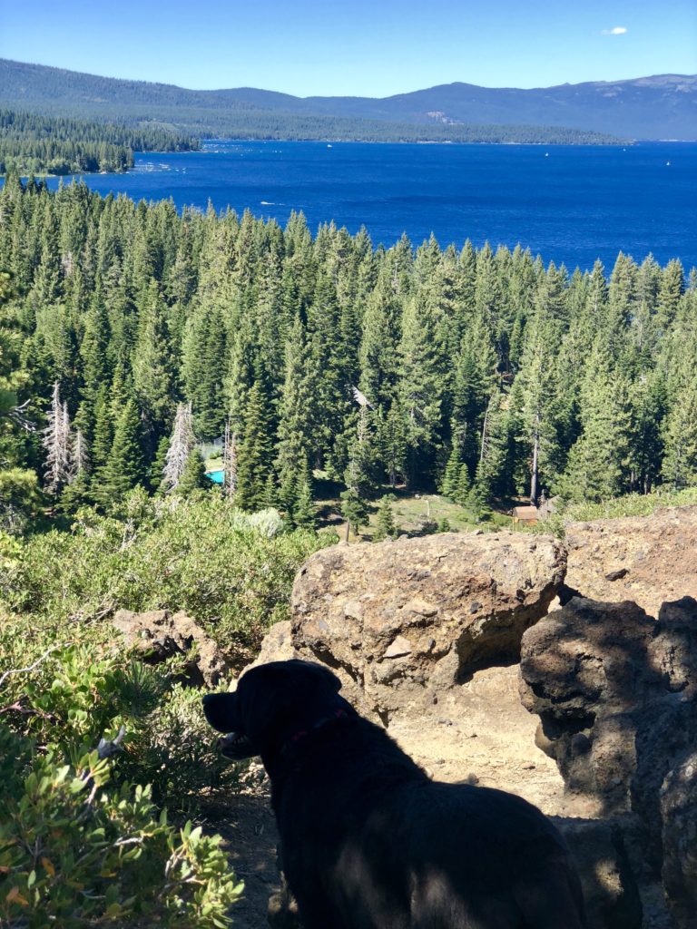 Best Hikes for Kids & Dogs at Lake Tahoe! Girl Who Travels the World