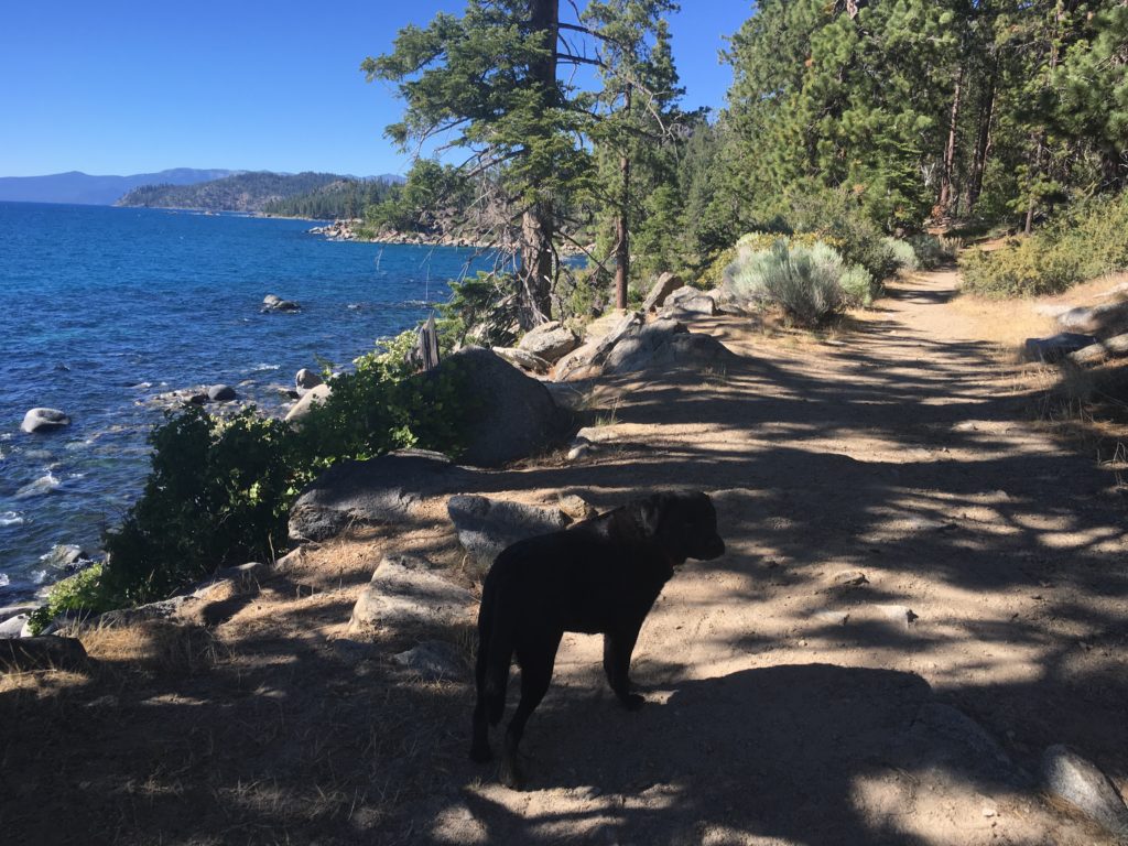 Best Hikes for Kids & Dogs at Lake Tahoe, Girl Who Travels the World