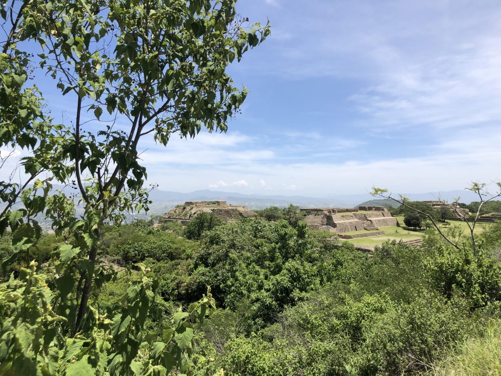 Ultimate Guide to the Monte Alban Ruins in Oaxaca, Girl Who Travels the World